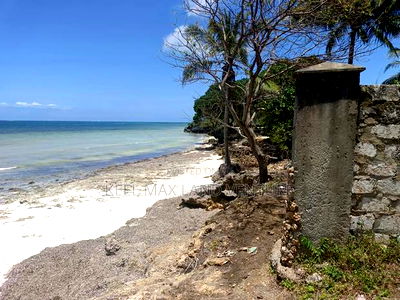 Shimoni 0.13ha 0.2 Beach Front Plots for Sale - Image 3