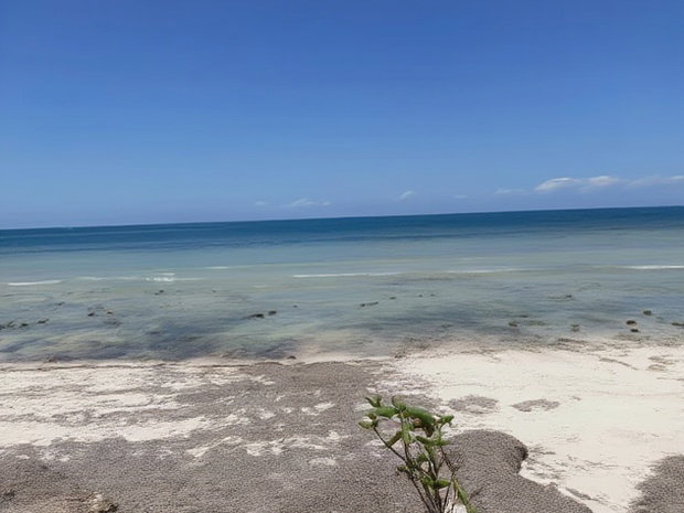 Shimoni 0.13ha 0.2 Beach Front Plots for Sale