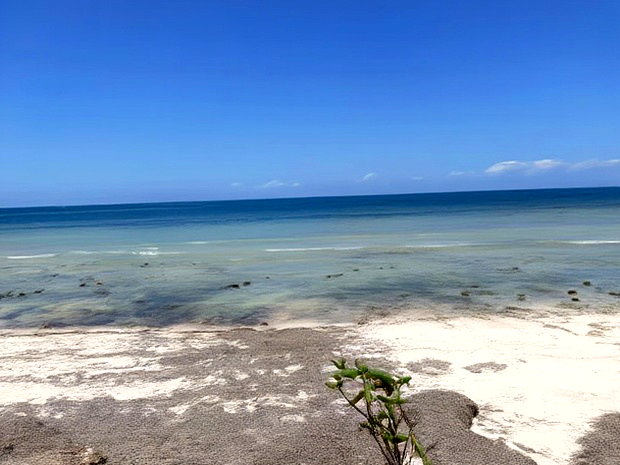 Shimoni 0.13ha 0.2 Beach Front Plots for Sale