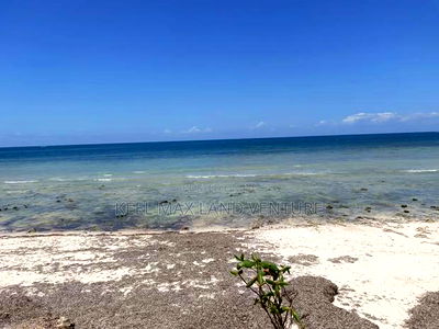 Shimoni 0.13ha 0.2 Beach Front Plots for Sale - Image 5