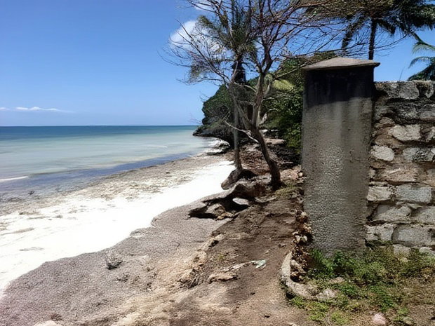 Shimoni 0.13ha 0.2 Beach Front Plots for Sale