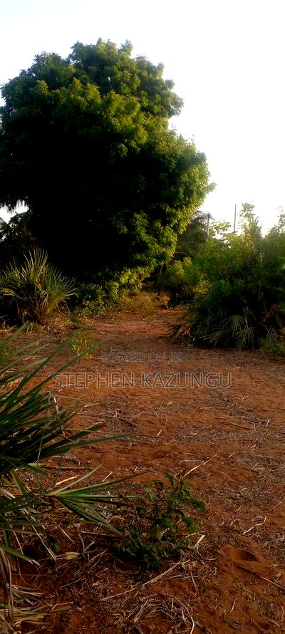 1/8 Acre Plot on Sale in Malindi Musoloni 100 M From Road - Image 2