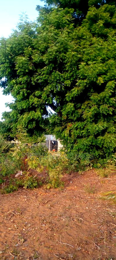 1/8 Acre Plot on Sale in Malindi Musoloni 100 M From Road - Image 3