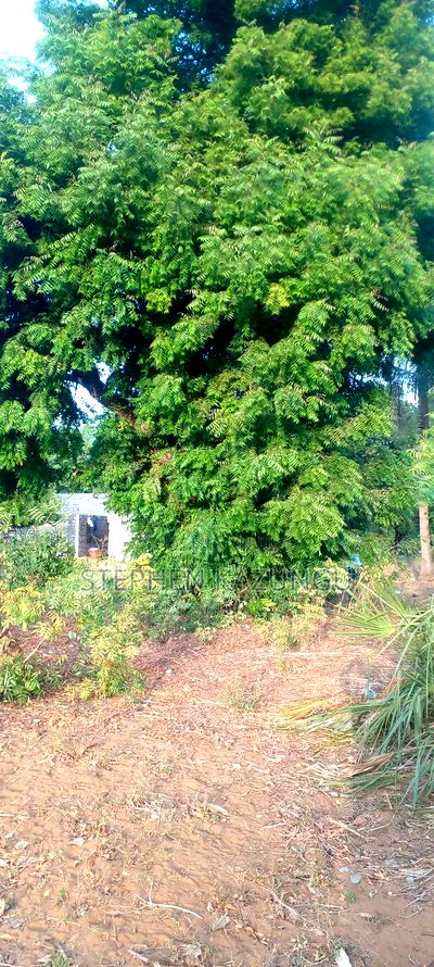 1/8 Acre Plot on Sale in Malindi Musoloni 100 M From Road - Image 4