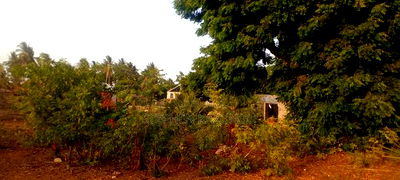1/8 Acre Plot on Sale in Malindi Musoloni 100 M From Road - Image 1