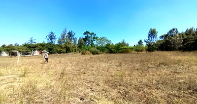 Quarter Acre Ready Title Deed Plot