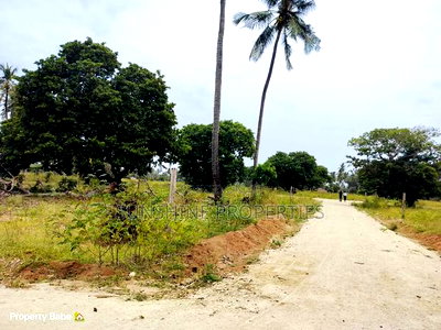 Chumani Plots for Sale - Image 8
