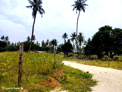 Chumani Plots for Sale - Image 9