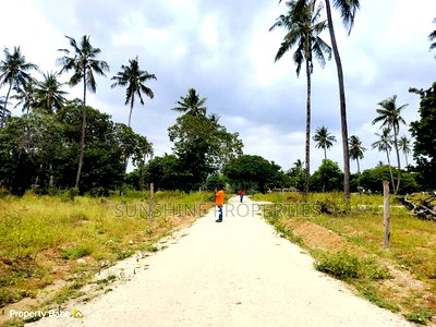 Chumani Plots for Sale - Image 7