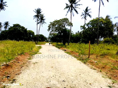 Chumani Plots for Sale - Image 2