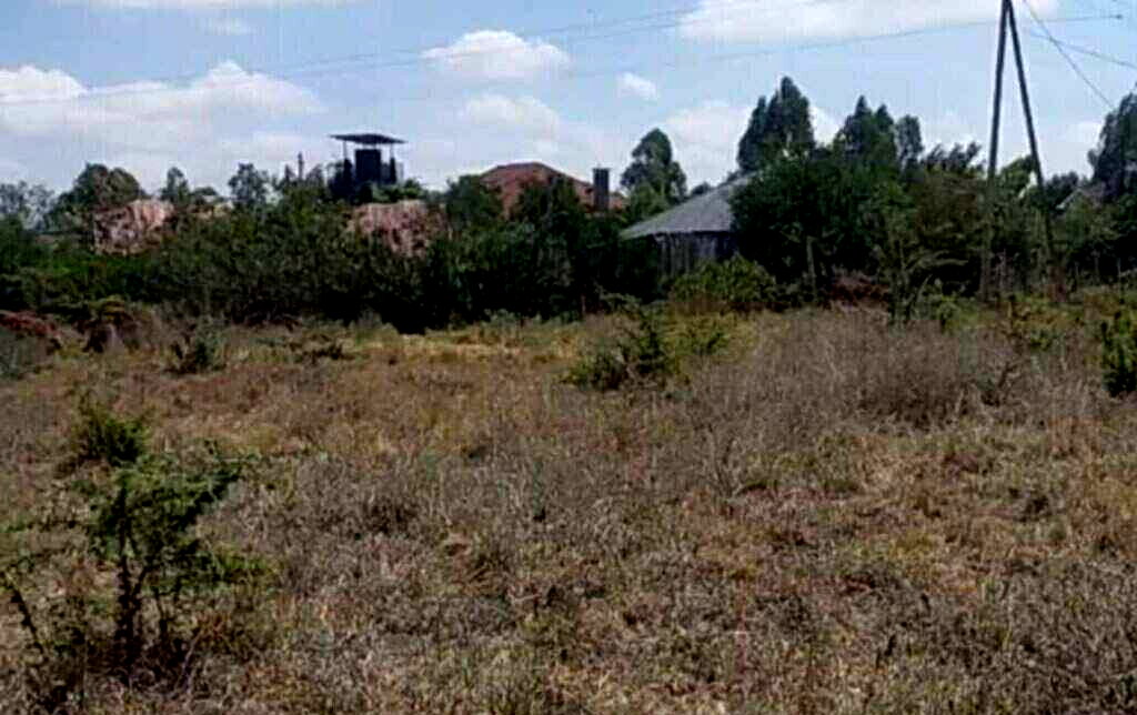 2.5-Acre Investment Opportunity in Tuala