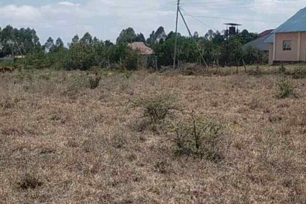 2.5-Acre Investment Opportunity in Tuala