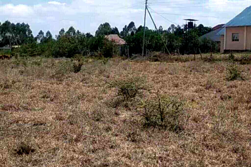 2.5-Acre Investment Opportunity in Tuala