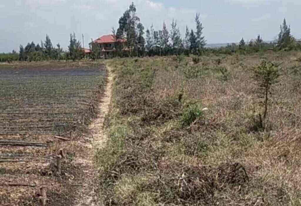 2.5-Acre Investment Opportunity in Tuala