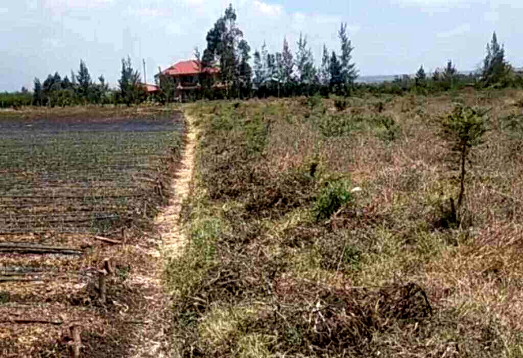 2.5-Acre Investment Opportunity in Tuala