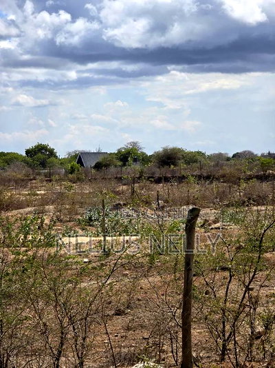 1/4 Acres 2nd Row Beach Plots Kilifi Bofa - Image 4