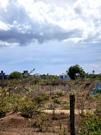 1/4 Acres 2nd Row Beach Plots Kilifi Bofa - Image 3