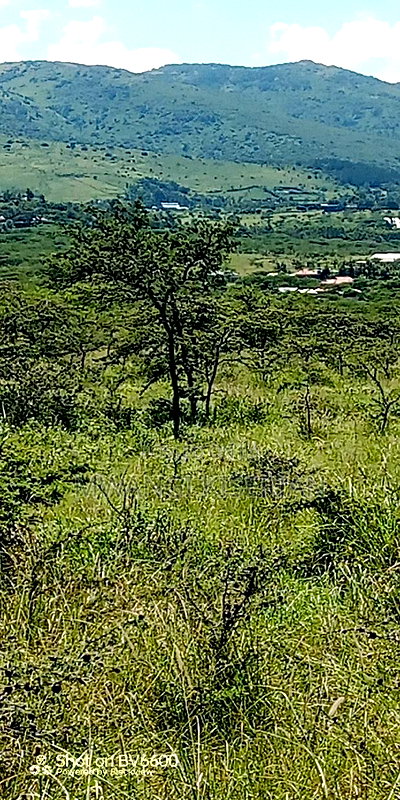 4acres Za 4.5m Per Acre for Sale in Kiserian - Image 2