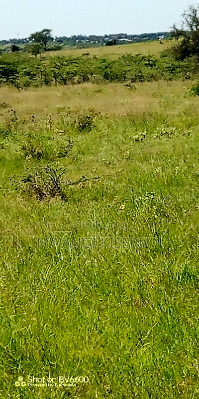 4acres Za 4.5m Per Acre for Sale in Kiserian - Image 3