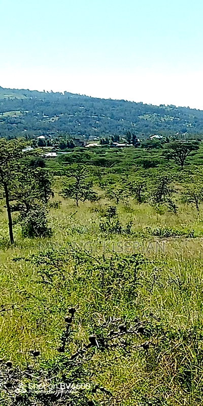 4acres Za 4.5m Per Acre for Sale in Kiserian - Image 1