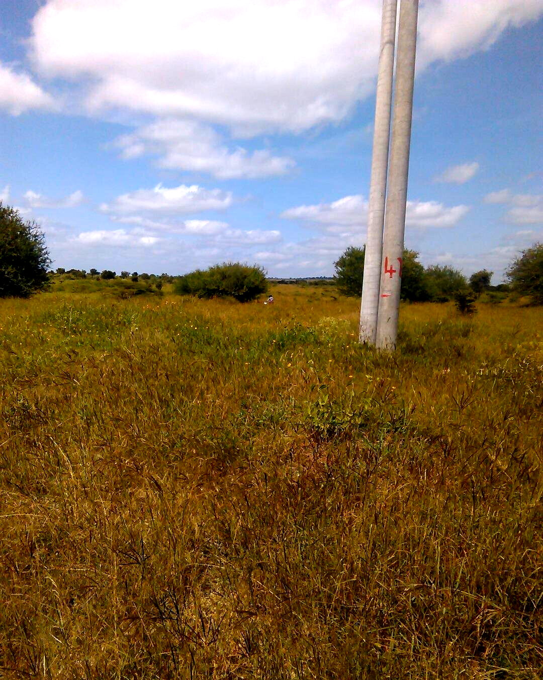 Garden Plot with Parking at KSh 1.2M