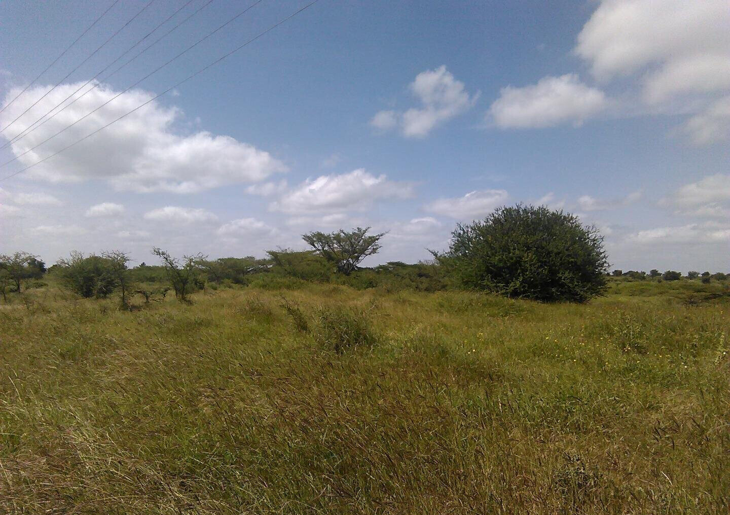 Garden Plot with Parking at KSh 1.2M