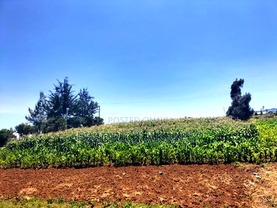 Land for Sale in Meru - Image 13