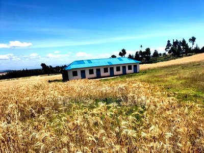 Land for Sale in Meru - Image 12