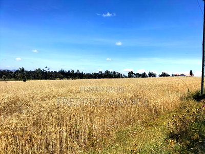 Land for Sale in Meru - Image 14