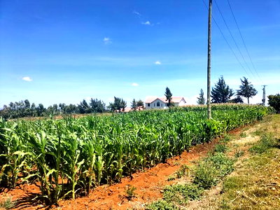 Land for Sale in Meru - Image 10