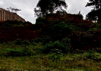 30-Acre Land in Ruiru Kimbo