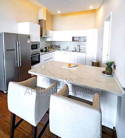 Furnished 2bdrm Penthouse in Mombasa Road for sale - Image 13