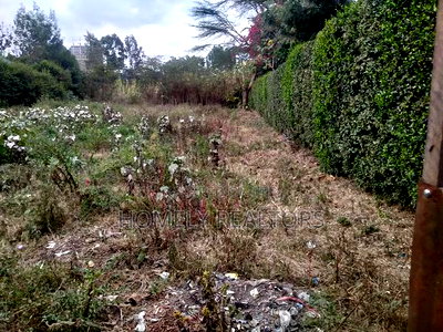 Commercial Quarter Acre in Ongata Rongai Nkoroi Near Tarmac - Image 3
