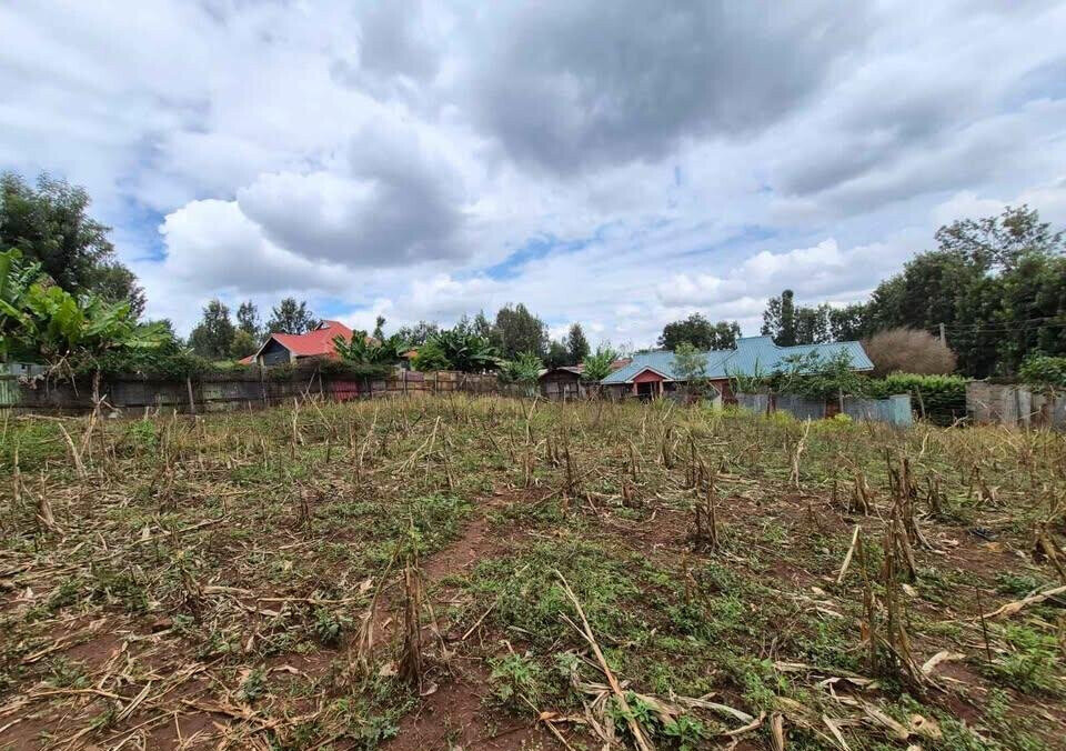 1/4 Acre Commercial Land in Thindigua