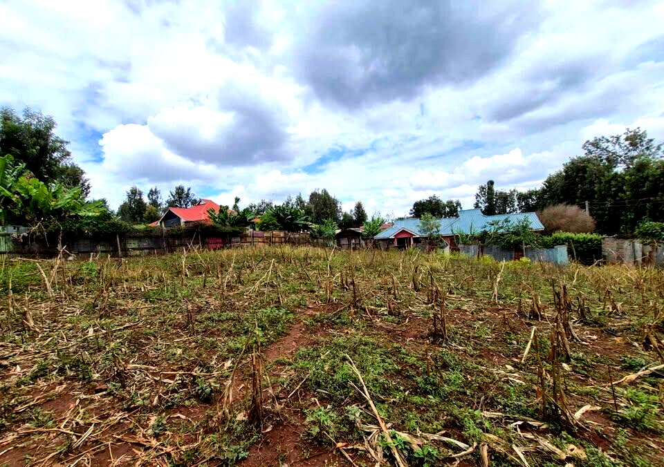 1/4 Acre Commercial Land in Thindigua