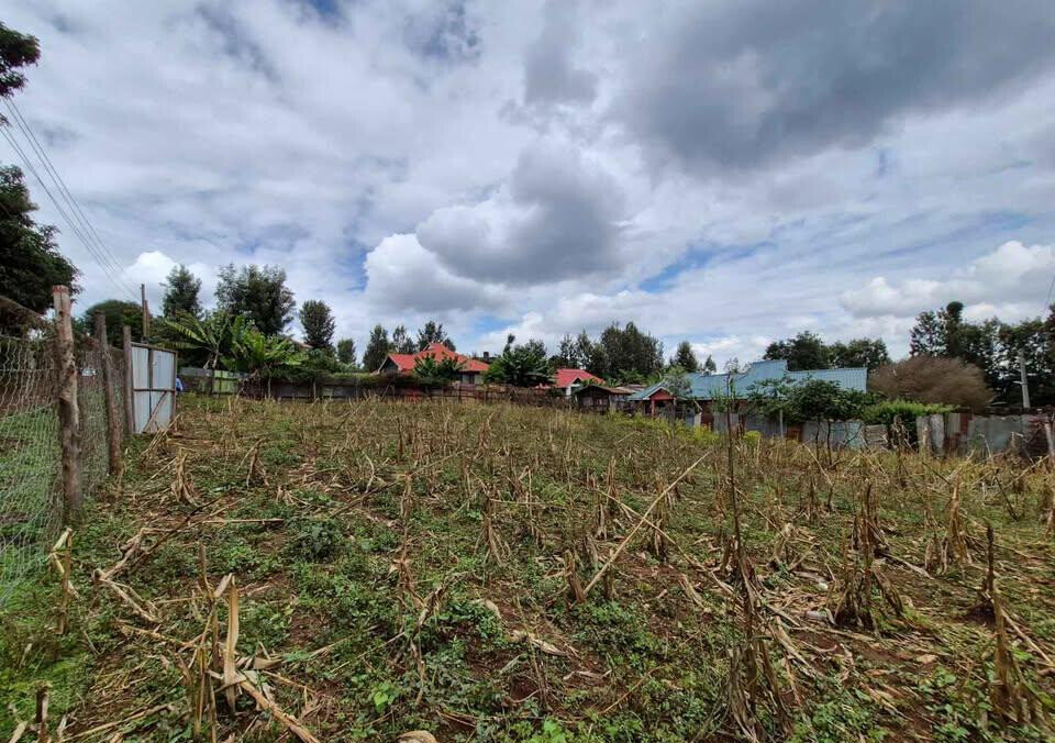 1/4 Acre Commercial Land in Thindigua