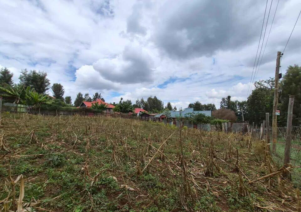 1/4 Acre Commercial Land in Thindigua