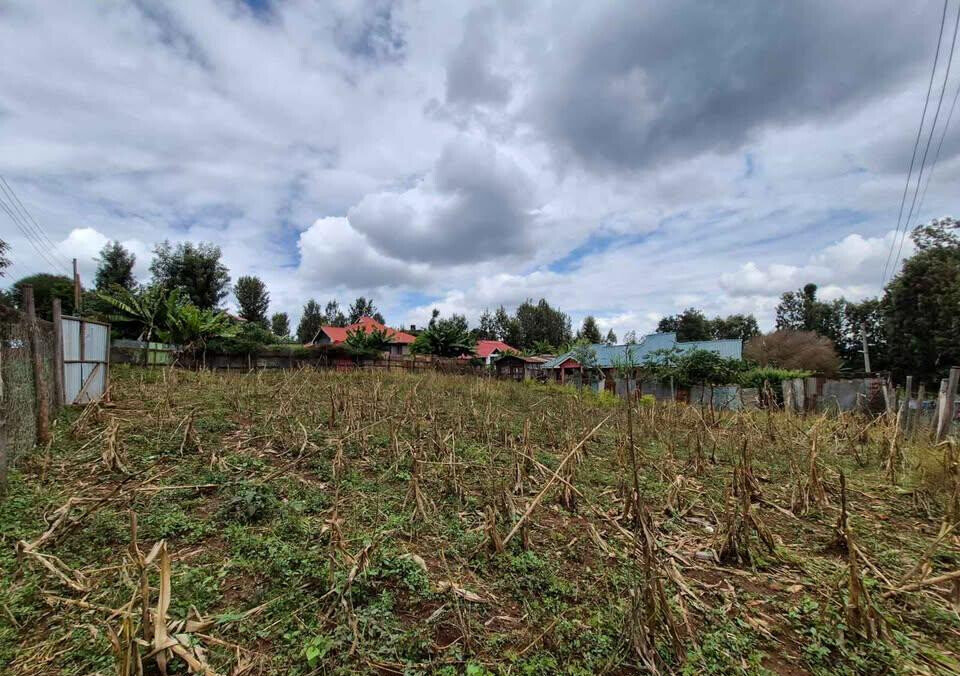 1/4 Acre Commercial Land in Thindigua