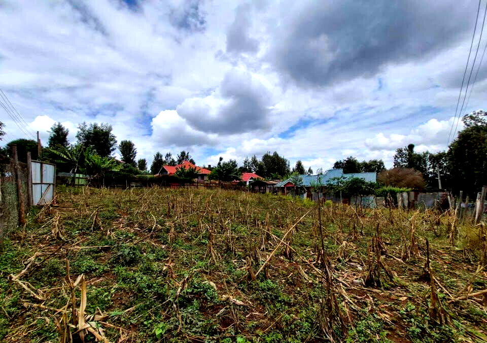 1/4 Acre Commercial Land in Thindigua