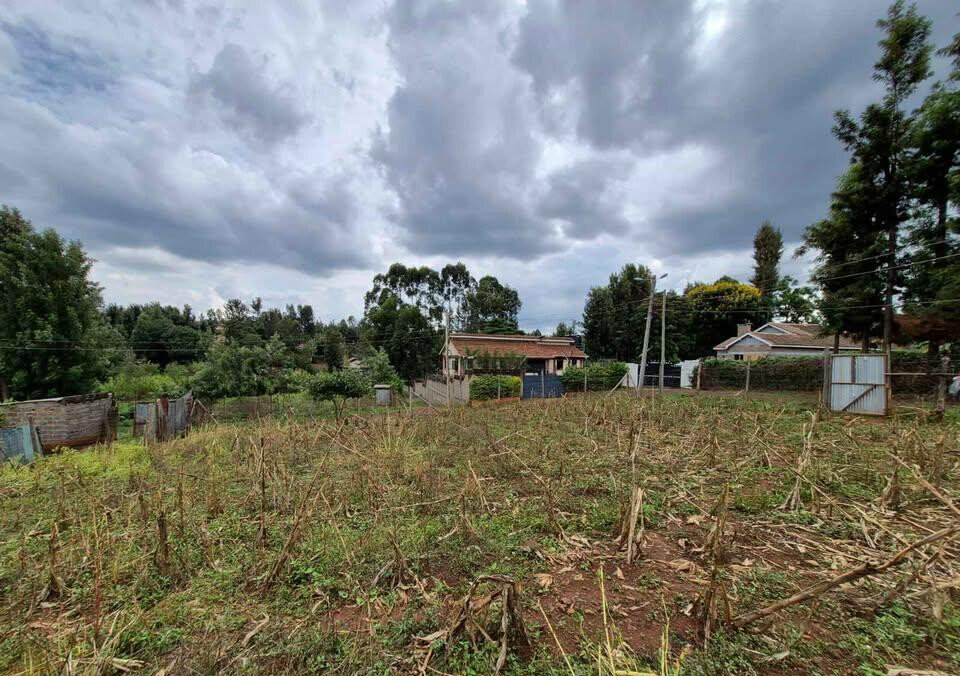 1/4 Acre Commercial Land in Thindigua
