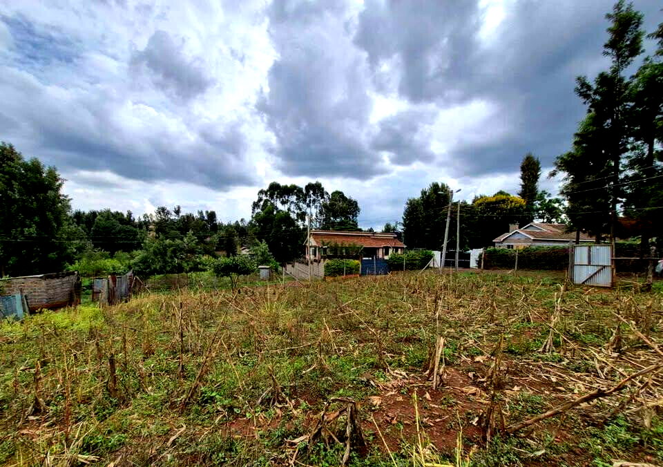 1/4 Acre Commercial Land in Thindigua