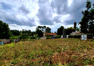 1/4 Acre Commercial Land in Thindigua