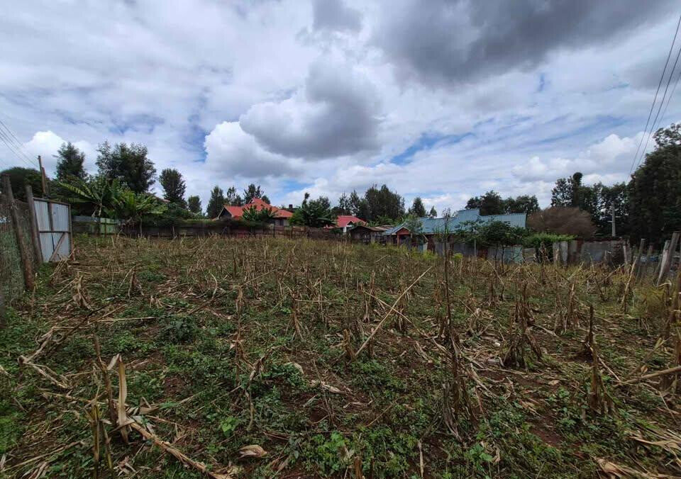 1/4 Acre Commercial Land in Thindigua