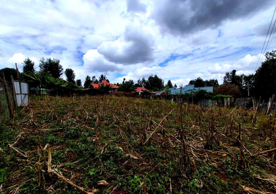 1/4 Acre Commercial Land in Thindigua