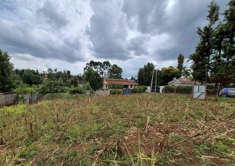 1/4 Acre Commercial Land in Thindigua