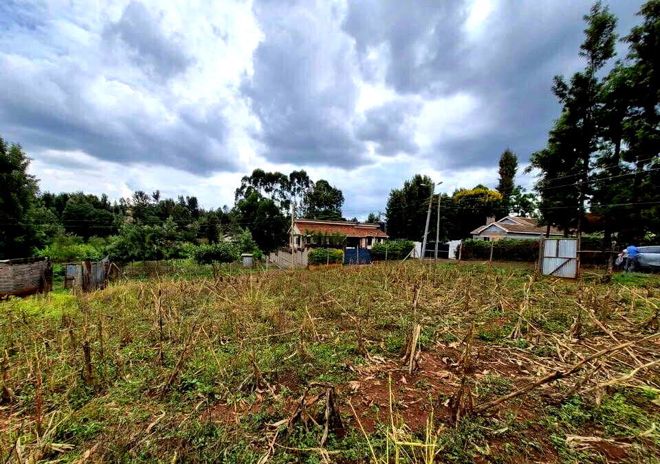 1/4 Acre Commercial Land in Thindigua