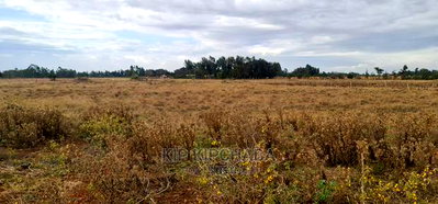 Affordable Plots for Sale in Marura Tarmac in Eldoret - Image 4