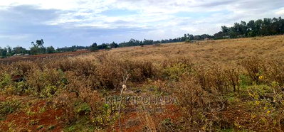 Affordable Plots for Sale in Marura Tarmac in Eldoret - Image 2