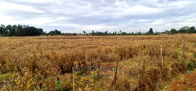 Affordable Plots for Sale in Marura Tarmac in Eldoret - Image 3
