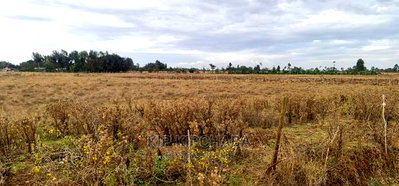Affordable Plots for Sale in Marura Tarmac in Eldoret - Image 7